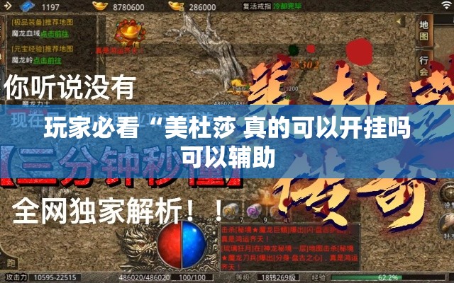 玩家必看“美杜莎 真的可以开挂吗可以辅助