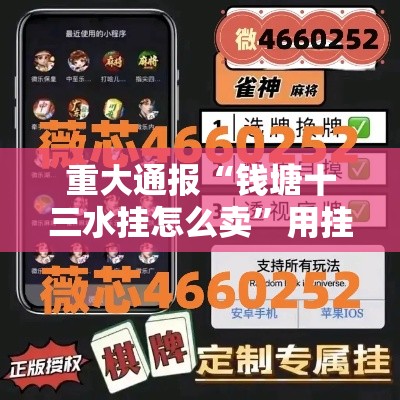 重大通报“钱塘十三水挂怎么卖”用挂教程