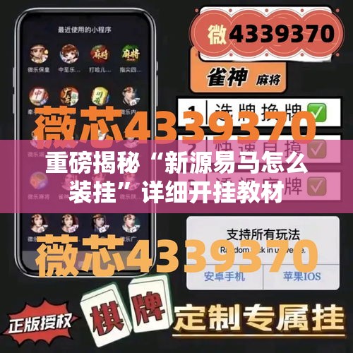 重磅揭秘“新源易马怎么装挂”详细开挂教材