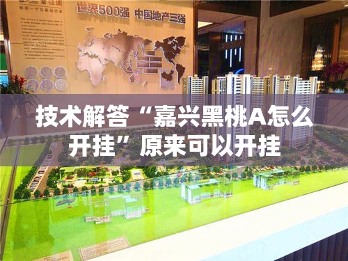 技术解答“嘉兴黑桃A怎么开挂	”原来可以开挂
