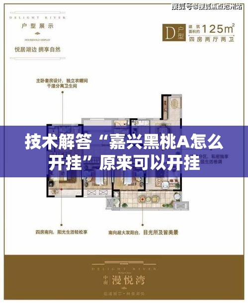 技术解答“嘉兴黑桃A怎么开挂”原来可以开挂