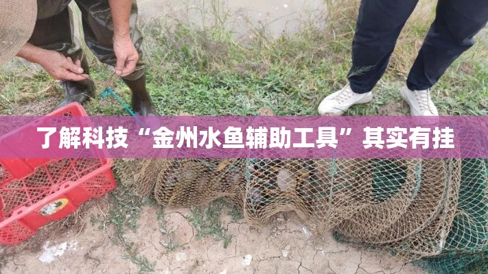 了解科技“金州水鱼辅助工具”其实有挂