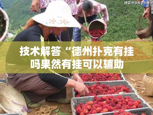 技术解答“德州扑克有挂吗果然有挂可以辅助 技术解答“德州扑克有挂吗果然有挂可以辅助