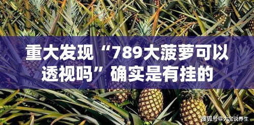 重大发现“789大菠萝可以透视吗	”确实是有挂的