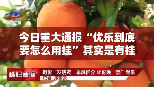 今日重大通报“优乐到底要怎么用挂”其实是有挂