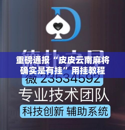 重磅通报“皮皮云南麻将确实是有挂”用挂教程