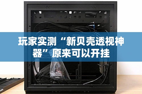 玩家实测“新贝壳透视神器	”原来可以开挂