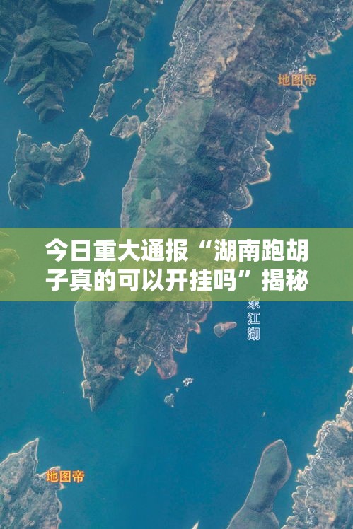 今日重大通报“湖南跑胡子真的可以开挂吗	”揭秘曝光猫腻