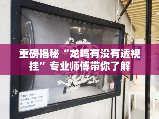 重磅揭秘“龙鸣有没有透视挂”专业师傅带你了解