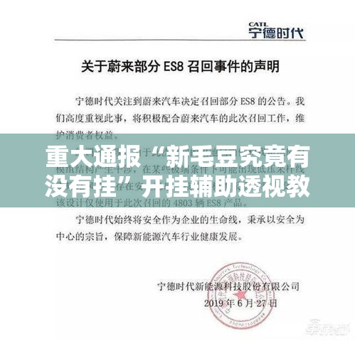 重大通报“新毛豆究竟有没有挂”开挂辅助透视教程