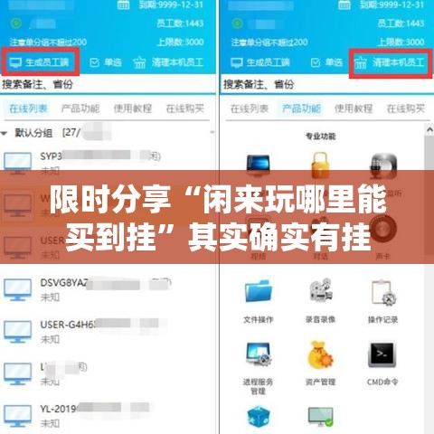 限时分享“闲来玩哪里能买到挂”其实确实有挂