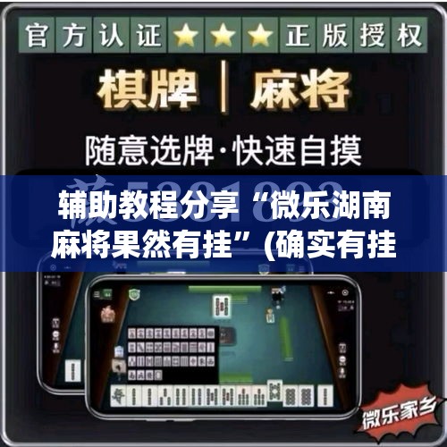 辅助教程分享“微乐湖南麻将果然有挂”(确实有挂)
