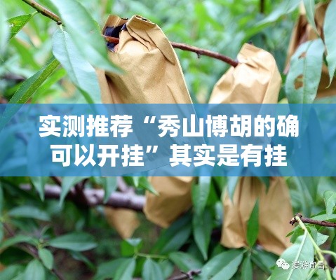 实测推荐“秀山博胡的确可以开挂”其实是有挂