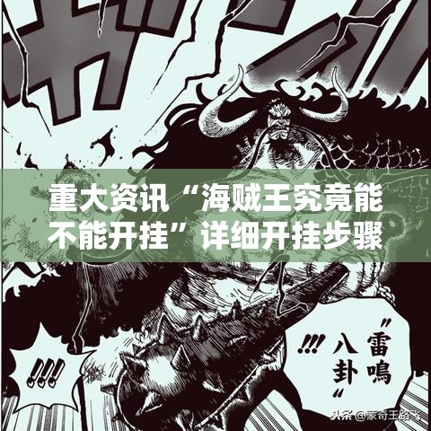 重大资讯“海贼王究竟能不能开挂	”详细开挂步骤
