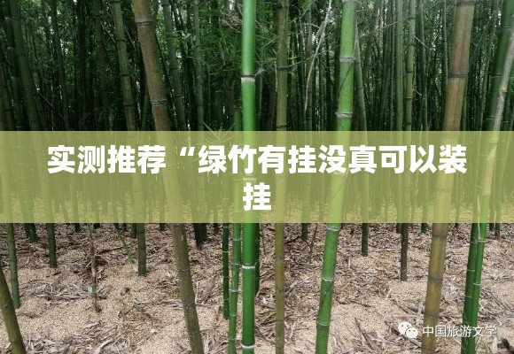 实测推荐“绿竹有挂没真可以装挂 实测推荐“绿竹有挂没真可以装挂