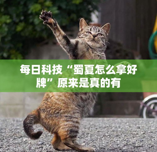 每日科技“蜀夏怎么拿好牌”原来是真的有
