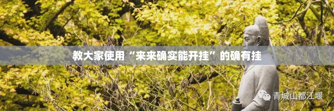 教大家使用“来来确实能开挂”的确有挂