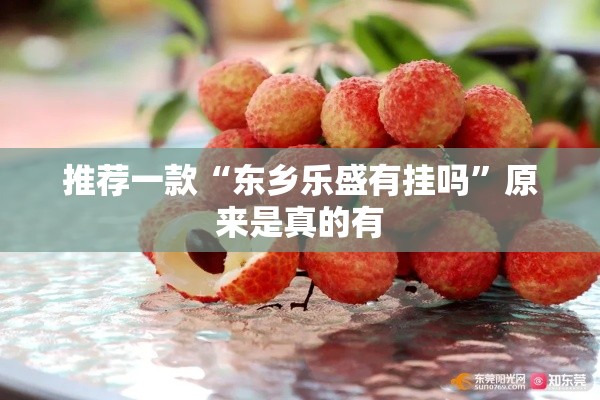 推荐一款“东乡乐盛有挂吗”原来是真的有