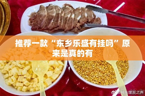 推荐一款“东乡乐盛有挂吗”原来是真的有