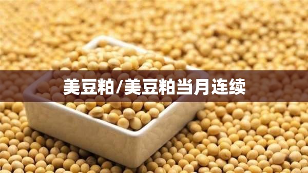 美豆粕/美豆粕当月连续 美豆粕/美豆粕当月连续