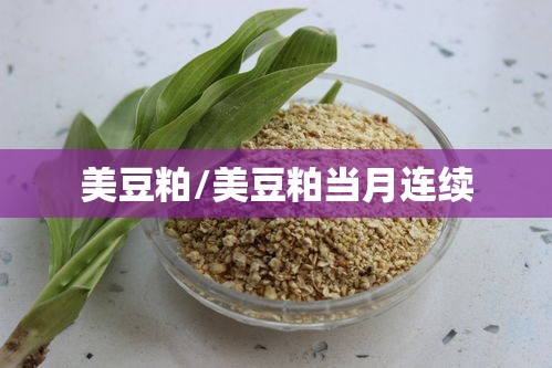 美豆粕/美豆粕当月连续 美豆粕/美豆粕当月连续