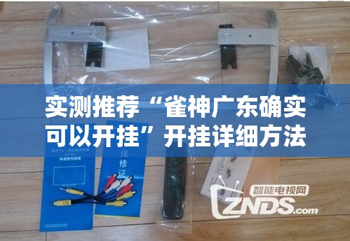 实测推荐“雀神广东确实可以开挂”开挂详细方法