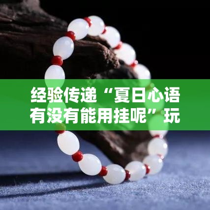 经验传递“夏日心语有没有能用挂呢”玩家必备神器