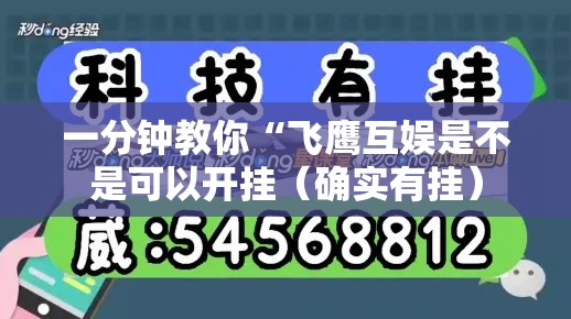 一分钟教你“飞鹰互娱是不是可以开挂(确实有挂) 一分钟教你“飞鹰互娱是不是可以开挂(确实有挂)