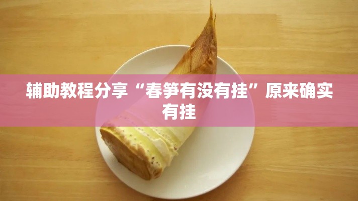 辅助教程分享“春笋有没有挂”原来确实有挂