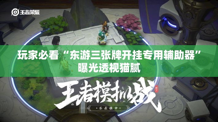 玩家必看“东游三张牌开挂专用辅助器”曝光透视猫腻