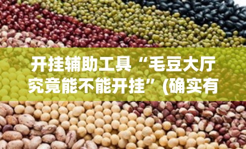 开挂辅助工具“毛豆大厅究竟能不能开挂”(确实有挂)