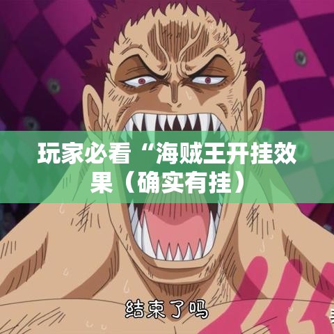 玩家必看“海贼王开挂效果（确实有挂）