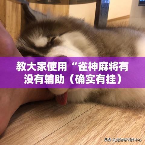 教大家使用“雀神麻将有没有辅助(确实有挂) 教大家使用“雀神麻将有没有辅助(确实有挂)