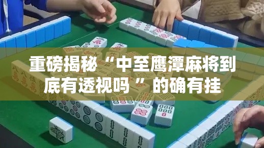 重磅揭秘“中至鹰潭麻将到底有透视吗 	”的确有挂