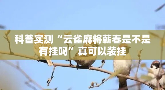 科普实测“云雀麻将蕲春是不是有挂吗	”真可以装挂