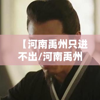 【河南禹州只进不出/河南禹州只进不出的地方】