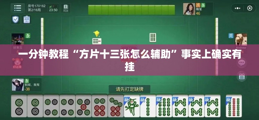 一分钟教程“方片十三张怎么辅助	”事实上确实有挂