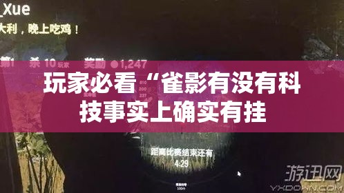 玩家必看“雀影有没有科技事实上确实有挂
