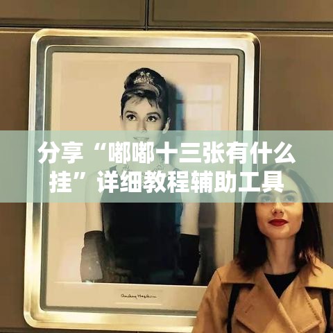 分享“嘟嘟十三张有什么挂”详细教程辅助工具