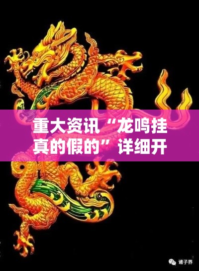 重大资讯“龙鸣挂真的假的”详细开挂步骤