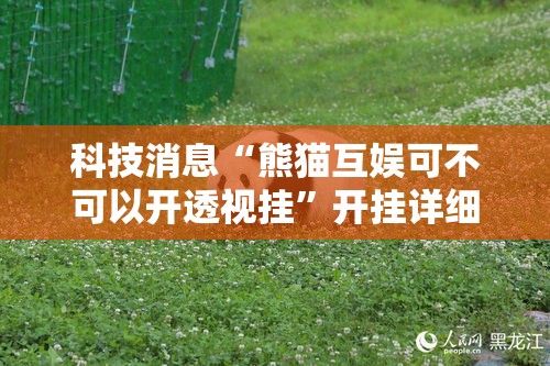 科技消息“熊猫互娱可不可以开透视挂”开挂详细方法