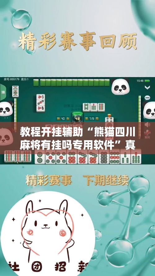 分享技术“乐逍遥跑胡子可不可以用起手好牌挂”玩家必备神器
