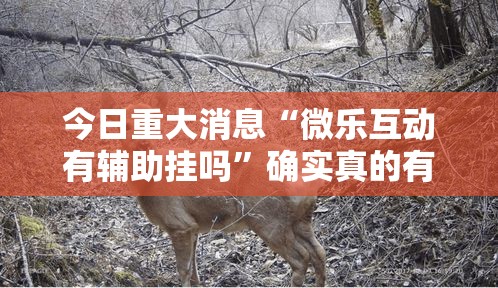 今日重大消息“微乐互动有辅助挂吗”确实真的有挂