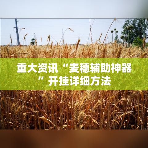 重大资讯“麦穗辅助神器”开挂详细方法