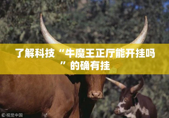 了解科技“牛魔王正厅能开挂吗”的确有挂