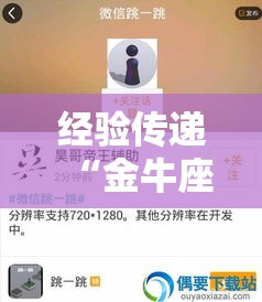经验传递“金牛座到底怎么用辅助”开挂作弊