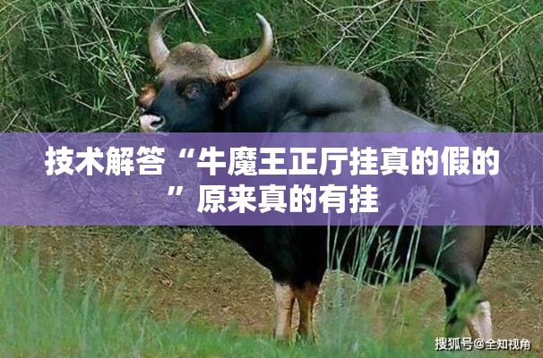技术解答“牛魔王正厅挂真的假的	”原来真的有挂