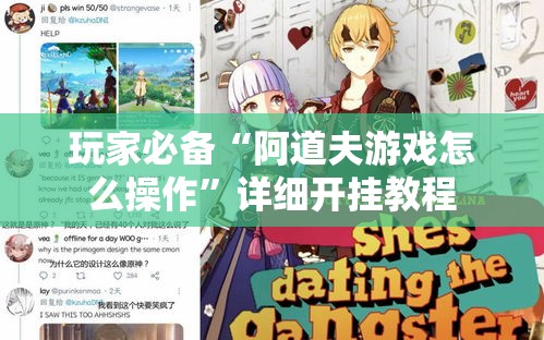 玩家必备“阿道夫游戏怎么操作”详细开挂教程