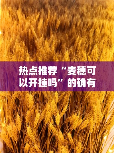 热点推荐“麦穗可以开挂吗”的确有挂