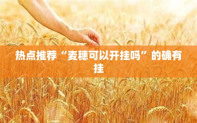 热点推荐“麦穗可以开挂吗”的确有挂